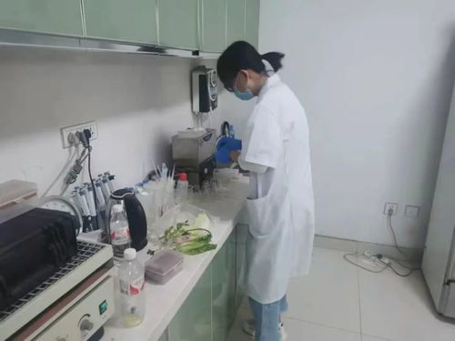 四大農(nóng)貿(mào)市場抽檢結果公布，36批次食用農(nóng)產(chǎn)品安全有保障