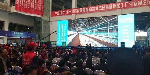 相約清豐 搜菇亮相河南食用菌大會，引領(lǐng)食用農(nóng)產(chǎn)品新篇章